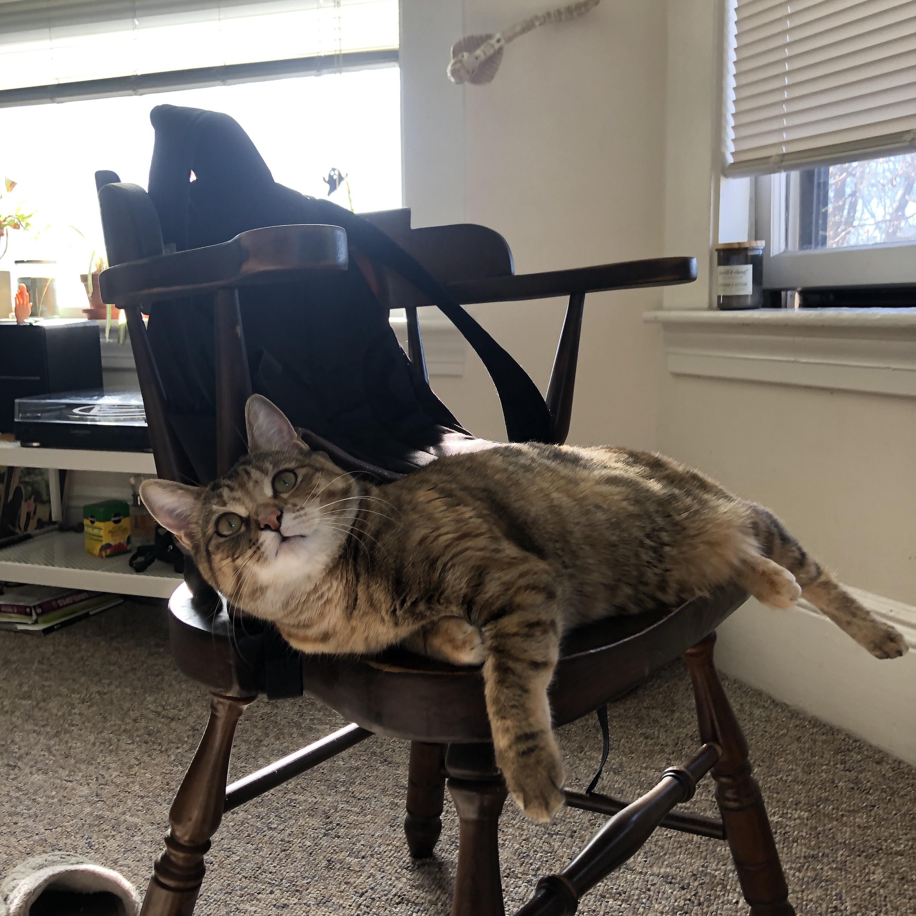 世界杯半决赛激战正酣，冠军之路如火如荼，世界杯半决赛结果