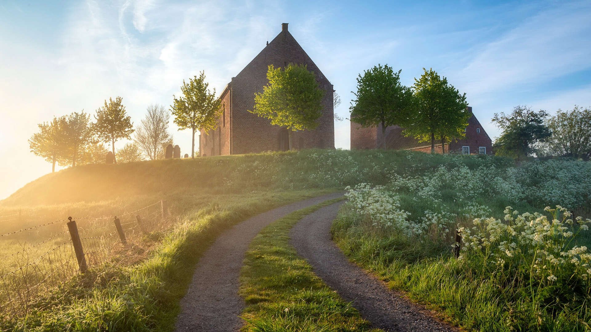 九游sports-“战术革新：联盟最新打法解析”，联盟战略