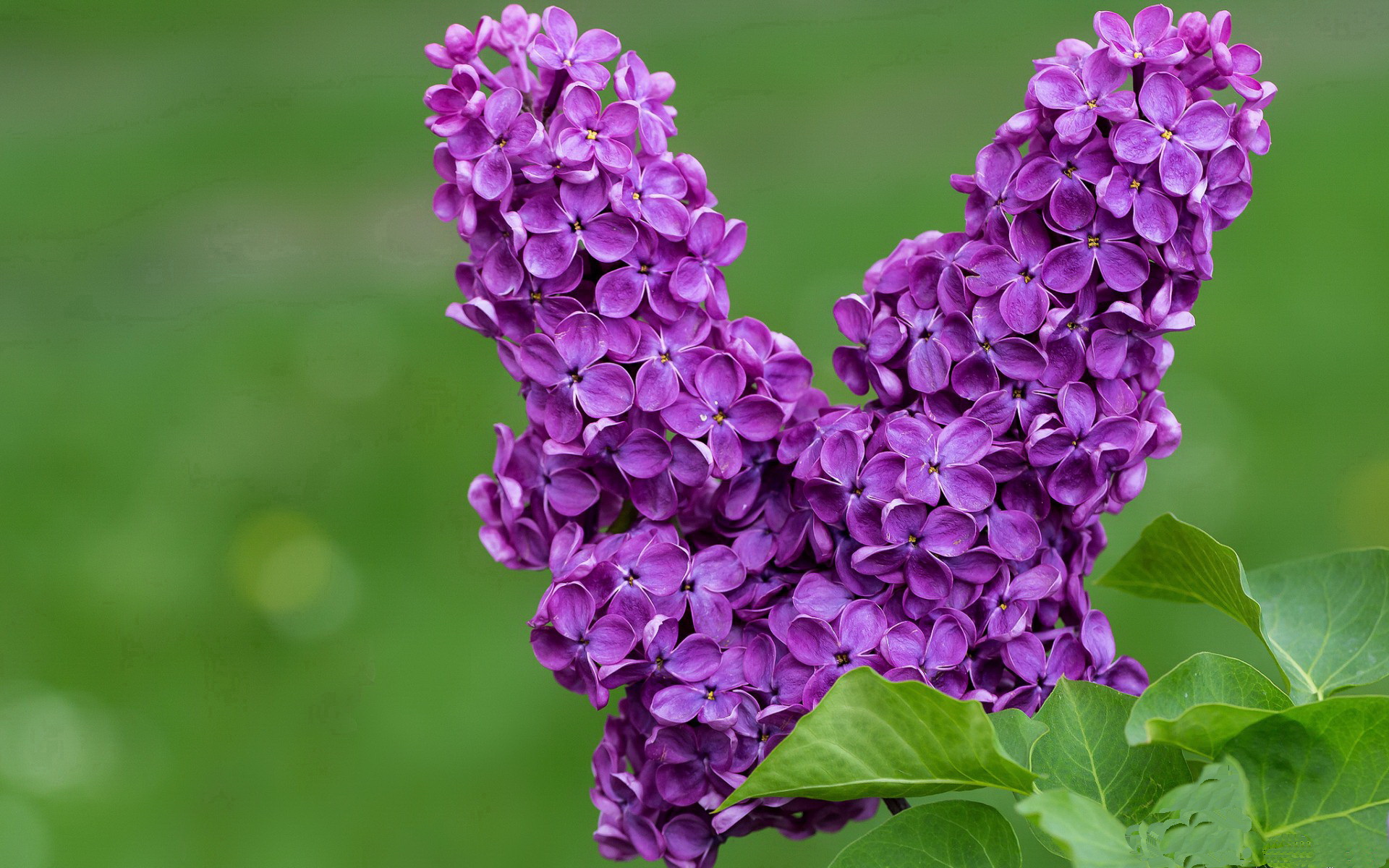 九游网游官网-【VAR在棒球中的首次应用】裁判判决的“黑科技”效果如何？，r.b.i棒球